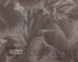 布兰特50036