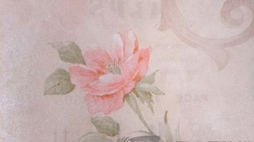 天迈壁纸