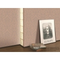 丹妮-2