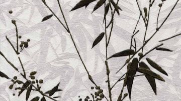 桑巴蒂-撒尼斯玛II