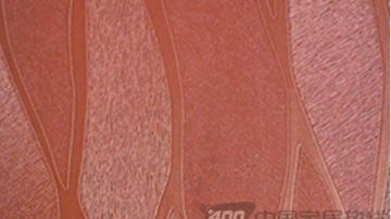 NAMED豪雅系列-2