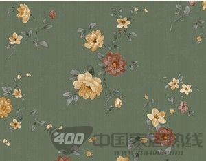 维纳斯VENUS
