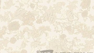 贝拉维140系列
