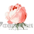 香味油墨