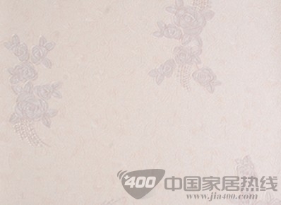 2021年德国艾仕壁纸招商政策和加盟流程解读 2021年德国艾仕壁纸招商政策和加盟流程解读