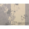 风雅颂