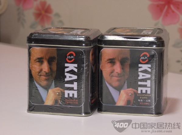 墙纸胶粉