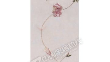 产品图005