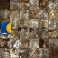 贝壳墙纸002