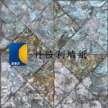 贝壳墙纸000