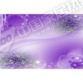 梦幻花卉HH2009D