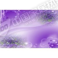 梦幻花卉HH2009D