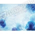 梦幻花卉HH2009I