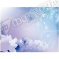 梦幻花卉HH2007C