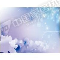 梦幻花卉HH2007C