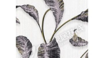 10031-10016 美人蕉 Canna
