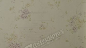 无纺世家7 WY6200 WY6201 WY6202 WY6203 WY6204
