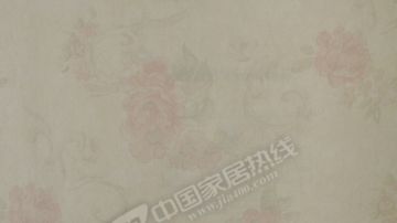 无纺世家7 WY6230 WY6231 WY6232 WY6233