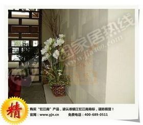 天然建材忆江南硅藻泥，小本投资致富项目