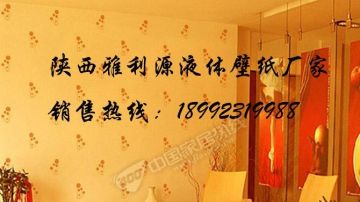 液体壁纸连锁 招商 代理 陕西雅利源