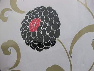 专科壁纸