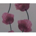 云龙墙纸