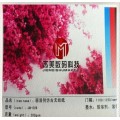 （仿古）无纺纸墙纸