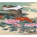花鸟画系列