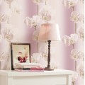 韩国风情