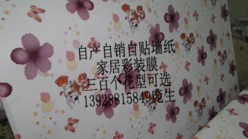 广州缘艺家居彩装膜厂家
