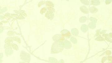 玉兰墙纸产品推荐-玉兰系列-粉彩世家2358系列