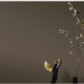 玉兰墙纸产品推荐-玉兰系列透纳迪奥2310系列