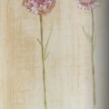 新科壁纸产品推荐-北美蓝山壁纸系列-坎伯兰CR1280039