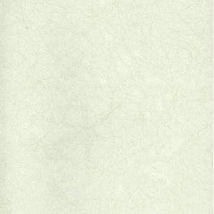 皇玛壁纸产品推荐-乐居PVC-wp0101