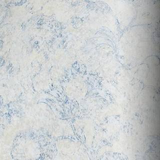 新科壁纸产品推荐-北美蓝山壁纸系列-德文郡DS1280015
