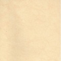 皇玛壁纸产品推荐-乐居PVC-wp0105