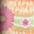 新科壁纸产品推荐-北美蓝山壁纸系列-童年时光1
