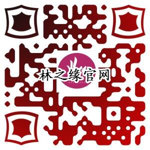林之缘YS0102高精密丝质面料无缝壁布招商加盟