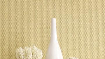 柔然壁纸-新品系列-Grasscloth Resource 2
