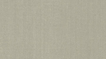 玉兰墙纸-视觉无纺-1857系列-NPP185701