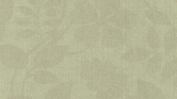 玉兰墙纸-视觉无纺-2034系列-NVP203406