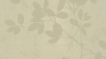 玉兰墙纸-视觉无纺-2033系列-NVP203305