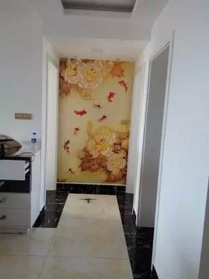 家装实拍案例