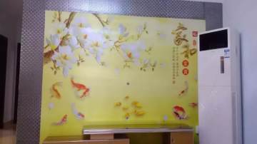 家装实拍案例