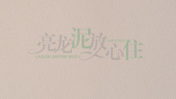 亮龙硅藻泥阿尔卑斯系列