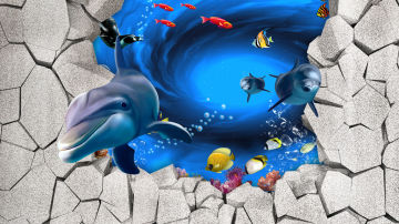 佳舍美居3D地贴墙贴