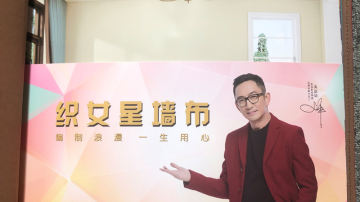 织女星墙布天鹅绒纯色系列
