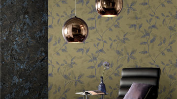 城市素颜-月光森林