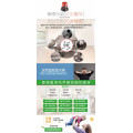 进口墙衣招开封代理(日本藤原壁墙衣）全新产品市场潜力更大