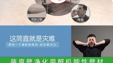 日本藤原壁墙衣诚招代理